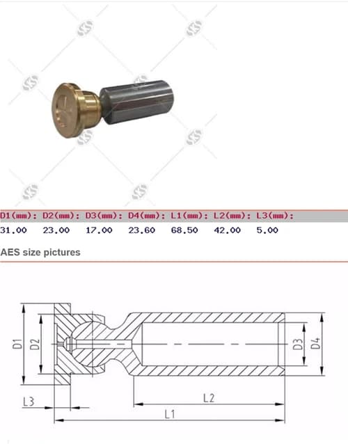 a2c62f0d-3184-11f0-b664-3cecefb0286f_a2c62f0e-3184-11f0-b664-3cecefb0286f.jpg